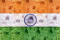 India Art Fair 2013