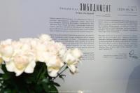 Первая публичная актёрская читка романа Оксаны Барковой